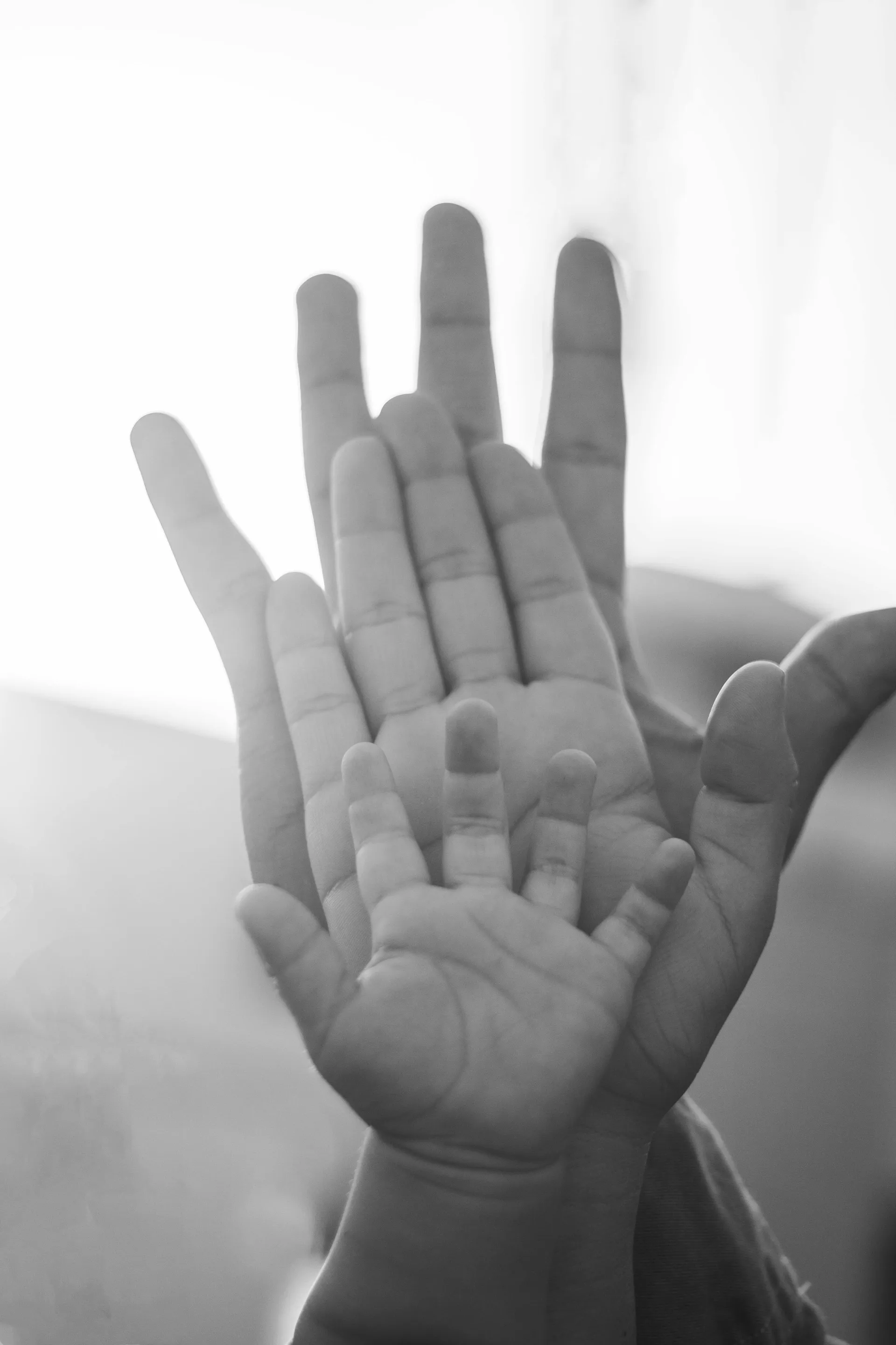 Hands resting calmly in soft light